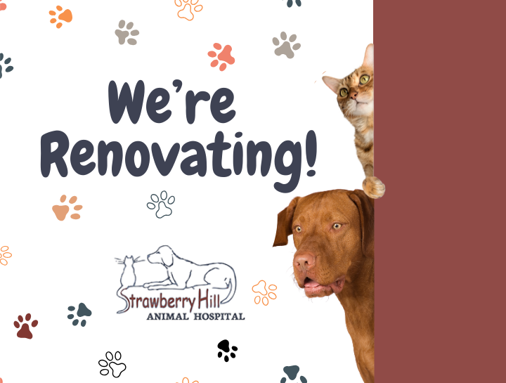 We are Renovating!