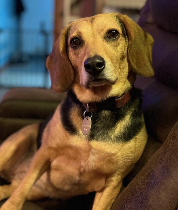 Portrait of Lisa