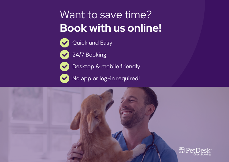 Carousel Slide 2: Online Booking Dog